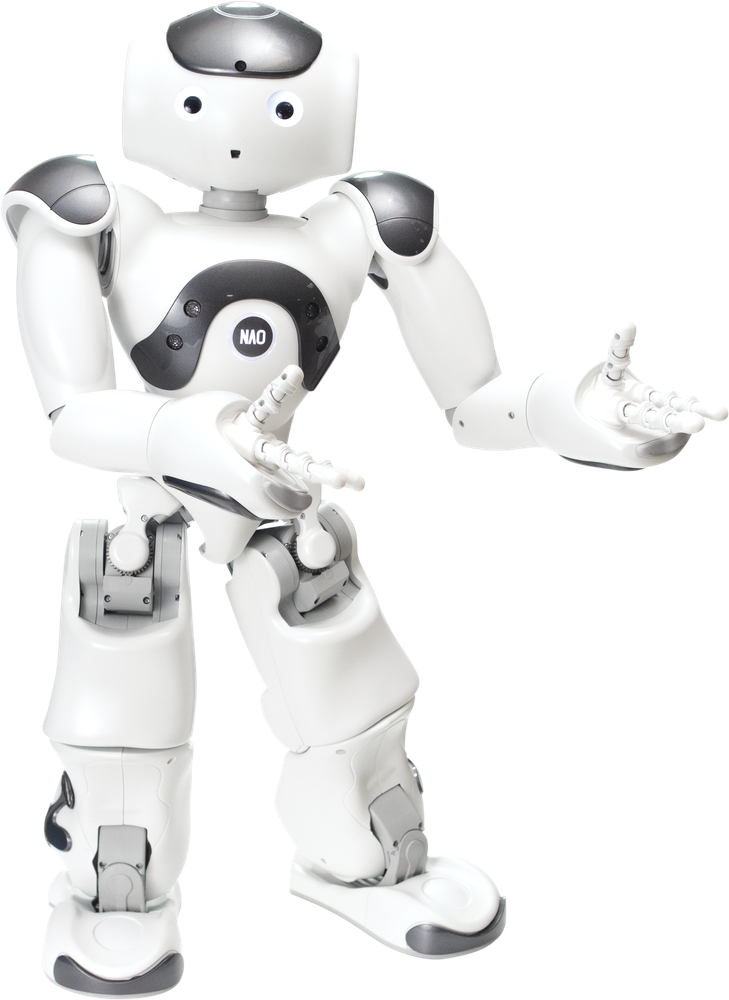 NAO humanoid robot